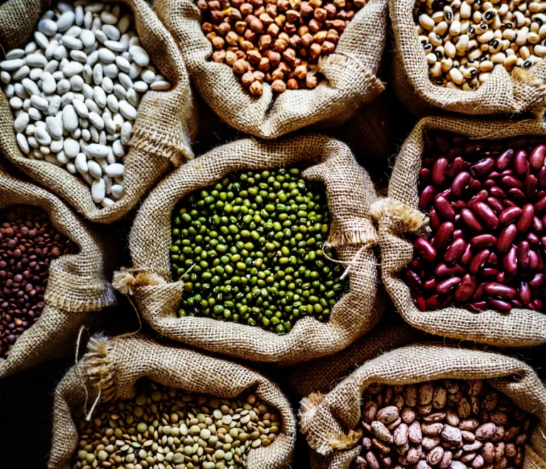 legumes-portfolio-image-2