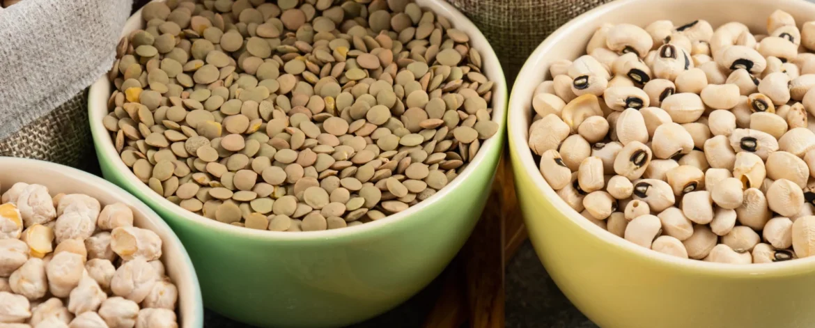 legumes-portfolio-preview