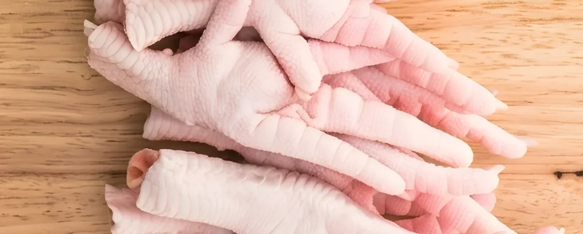 chicken-paw-portfolio-preview-2