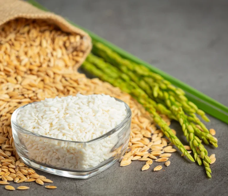 rice-portfolio-image